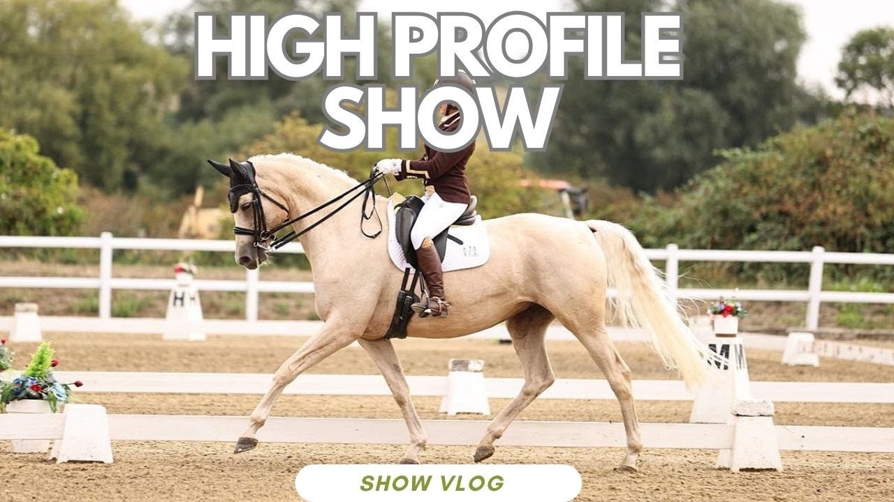 BURY FARM HIGH PROFILE SHOW 2025 -Aurora-