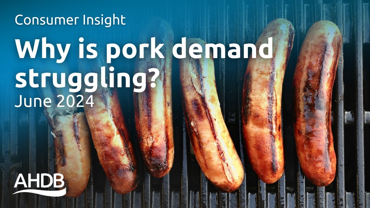 Why is pork demand struggling? June 2024 | AHDB