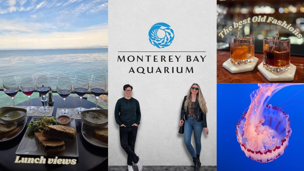 Monterey Bay Travel Guide: Best Things to Do | Aquarium, Carmel & Whiskey Tasting🥃🌊