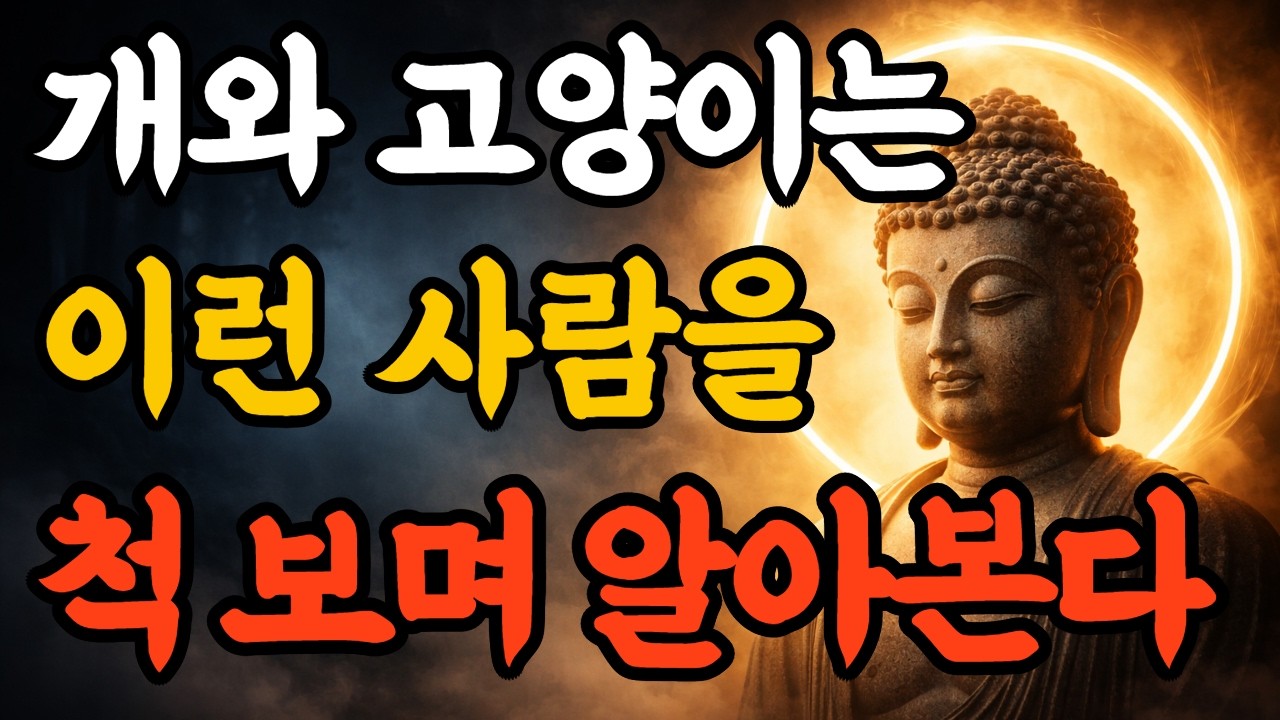 반려 동물을 키우는 당신은 특별한 이것이 있습니다 | 부처님 말씀
