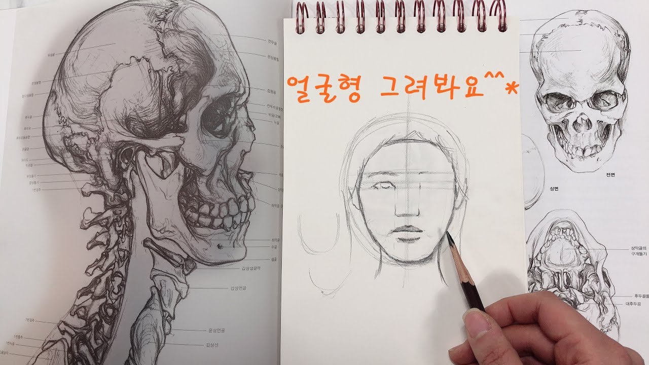 얼굴형태 그리는법(기본골격설명)