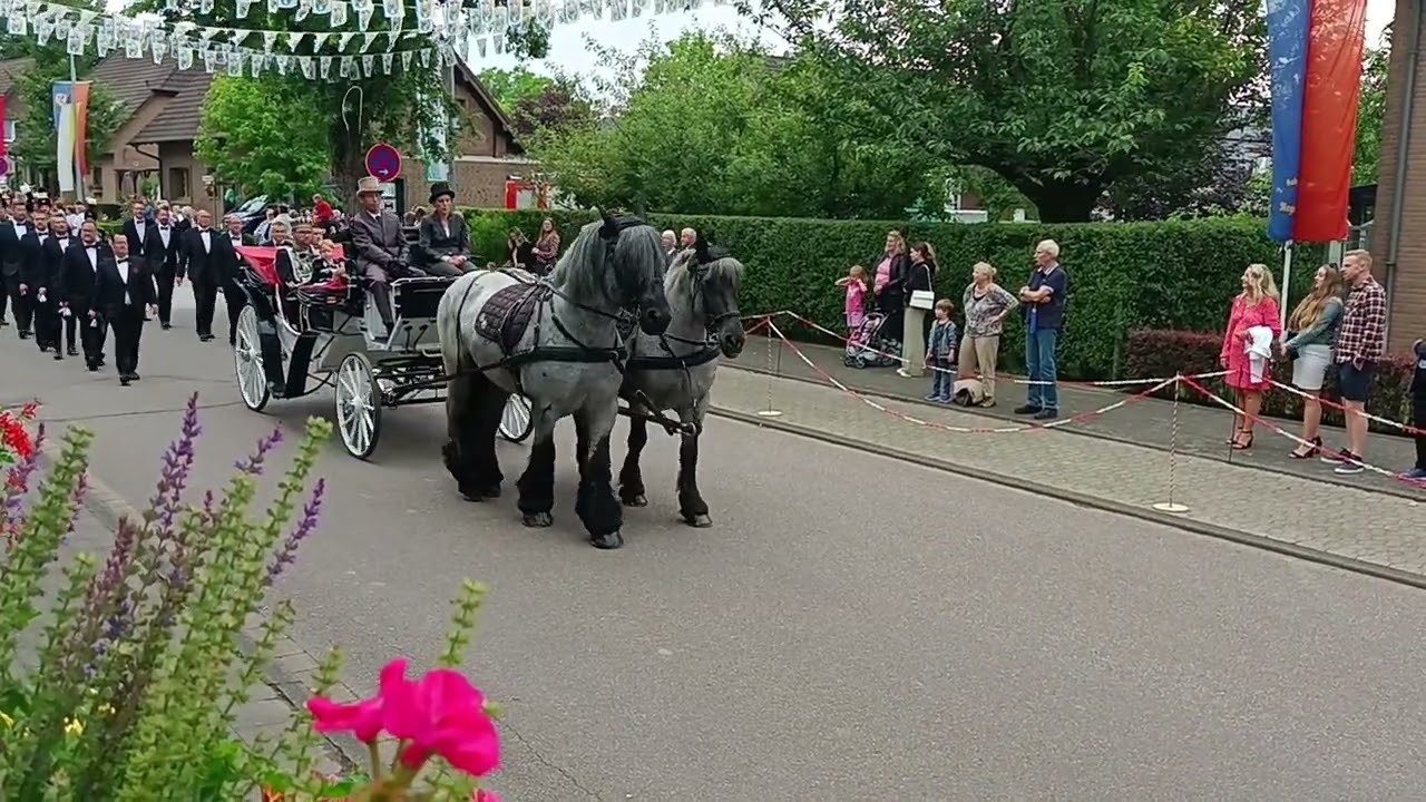 Schützenfest Königshoven 2024