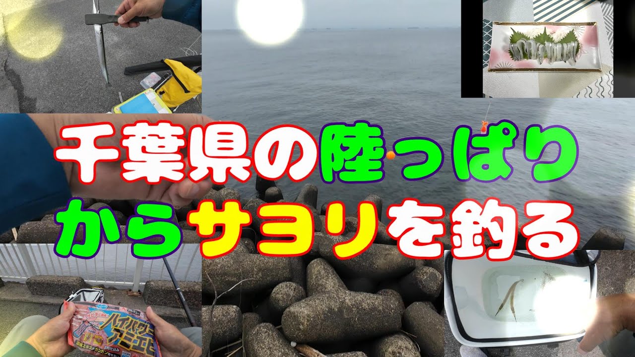 千葉県の高須海浜公園で秋サヨリを浦安釣法で釣る