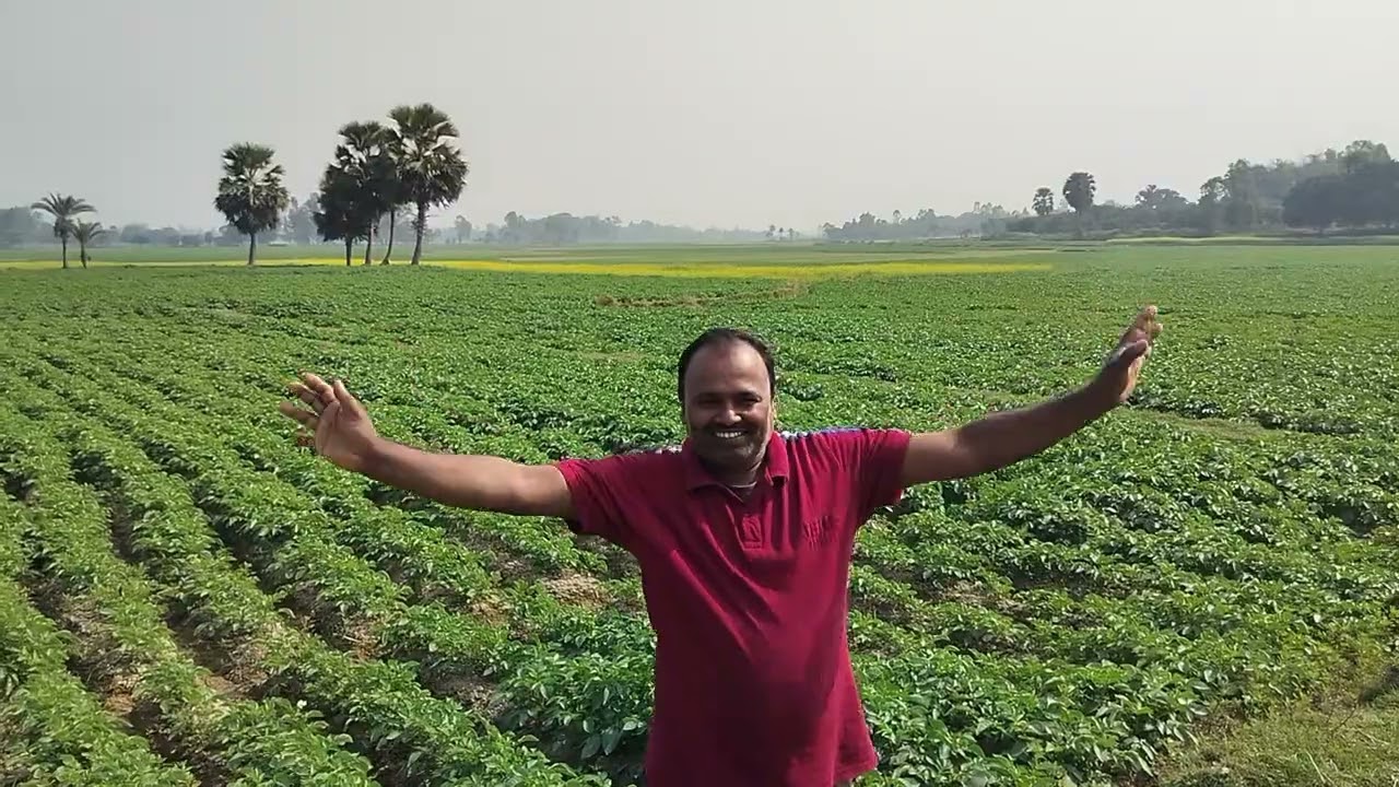 আমি আমার আংকেল দুজনেই আলু বাড়ি এসেছি