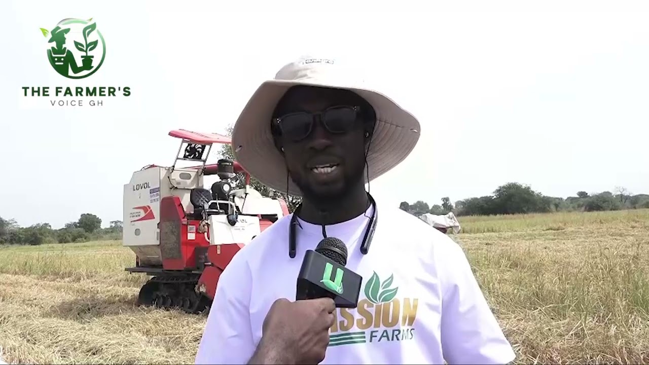 He manages a large-scale enterprise focused on rice and mango production,  & other various crops.