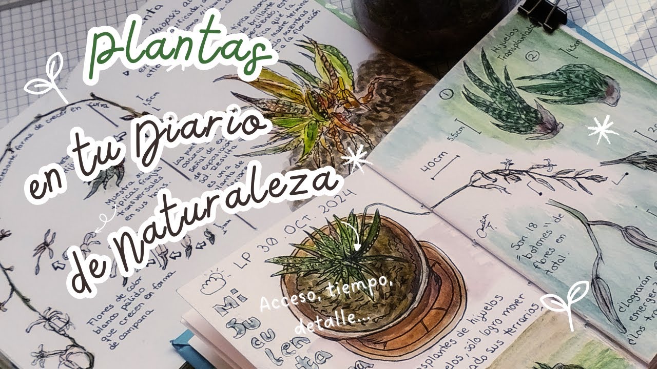 &iquest;Por qu&eacute; empezar con 🌿PLANTAS🌿 en tu DIARIO Naturalista?