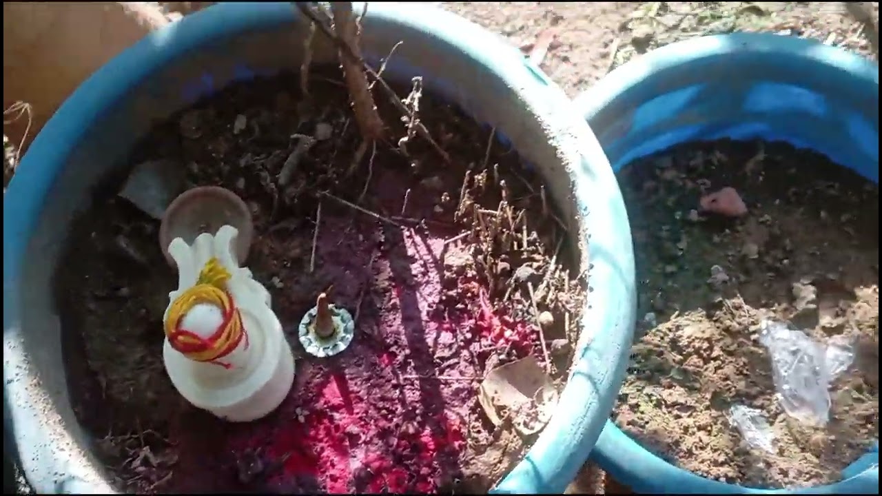 मेरे घर में भगवान का चमत्कार सूरज भगवान की कृपा #वायरल वीडियो 