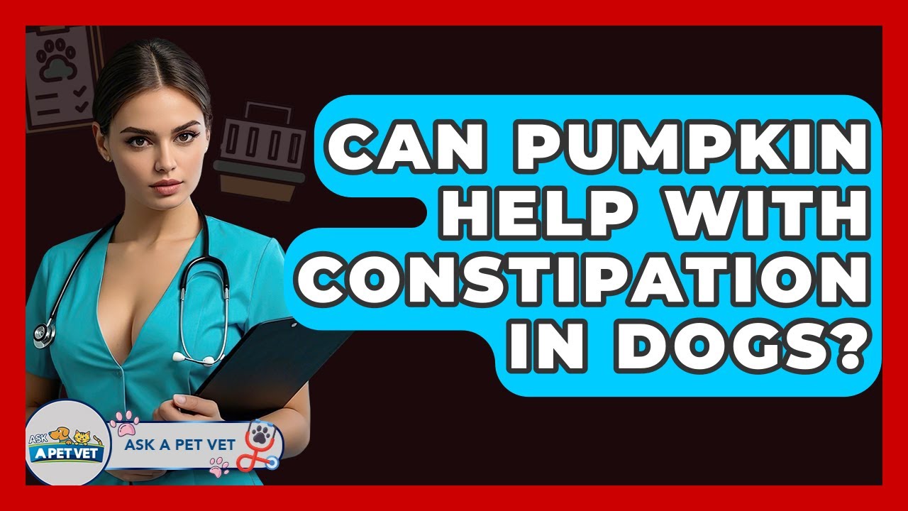 Can Pumpkin Help With Constipation In Dogs? - Ask A Pet Vet