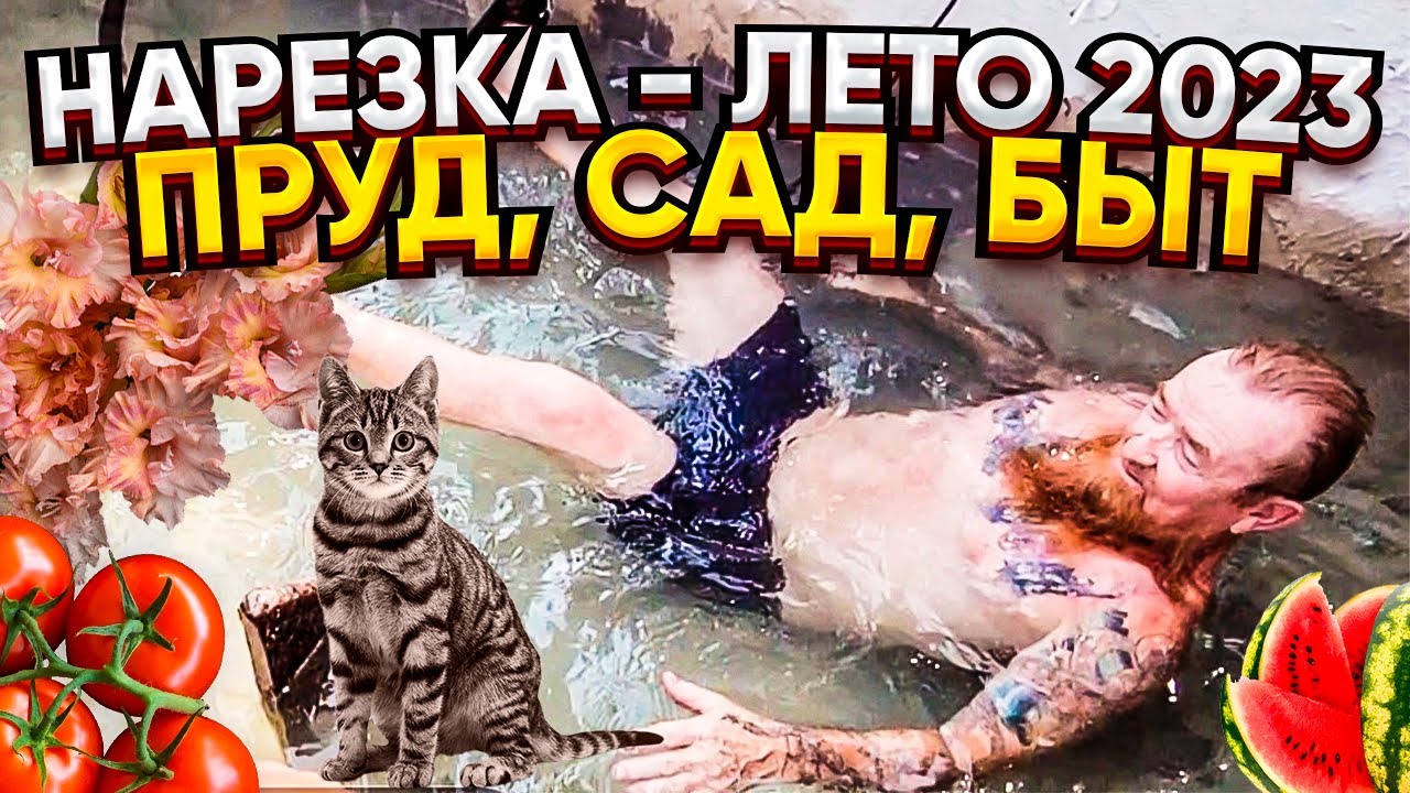 ДВОР, САД-ОГОРОД, БЫТ И ЖИЗНЬ В США 🗽ВЕСЕЛАЯ НАРЕЗКА