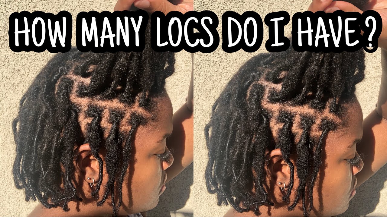 LOC COUNT | How Many Locs Do I Have? | Counting My Locs |
