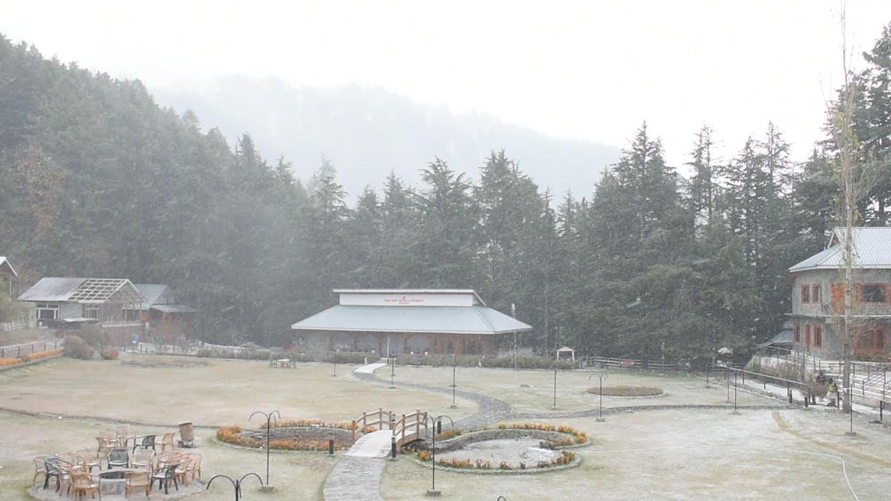 Experience the First Live Snowfall of 2025 in Shogran Valley with Pine Travel
