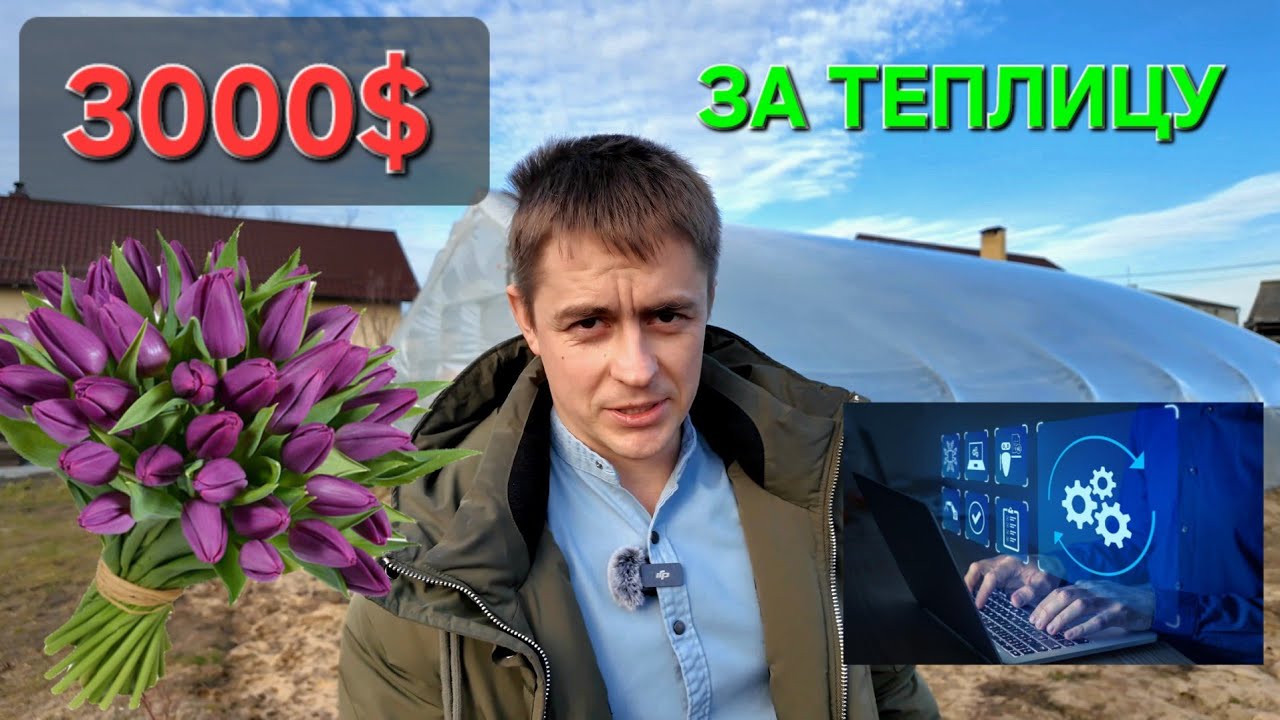 Умная теплица - сколько все это стоит ?  Выращивание  тюльпанов на гидропонике.  #васькапилот