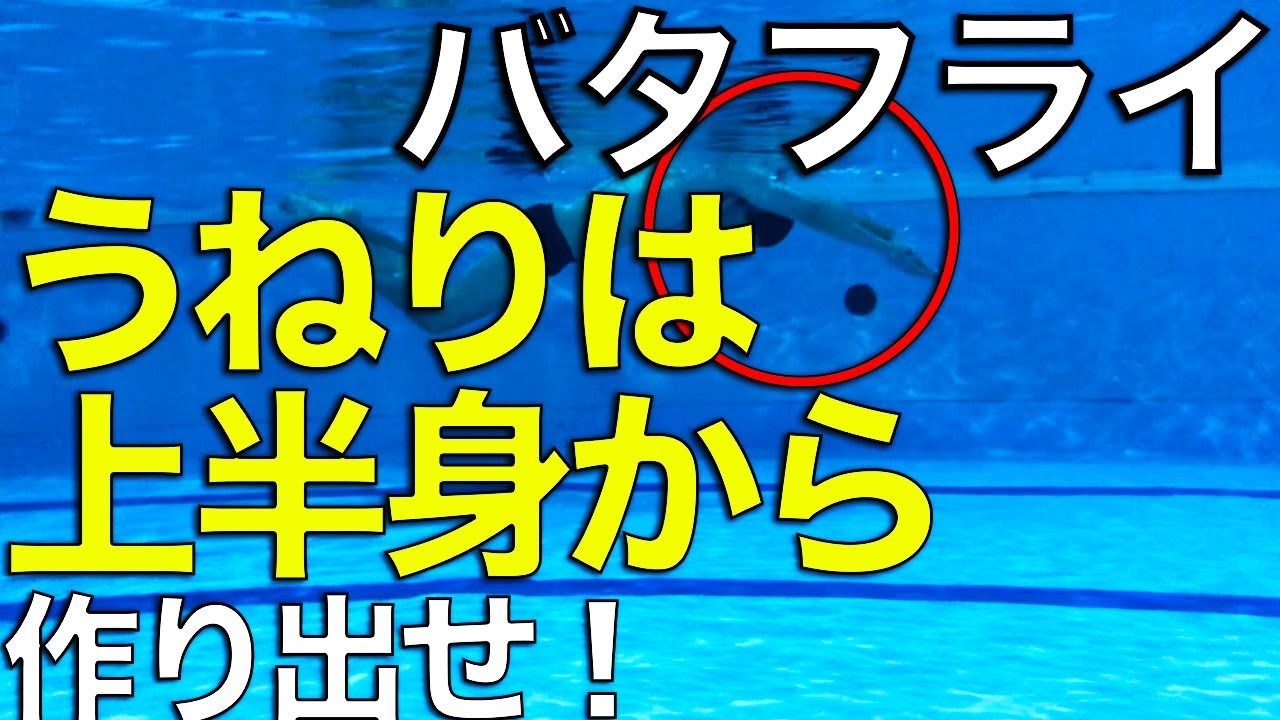 バタフライ【うねり】ができない方必見！【ドルフィンキック】【最速でコツを掴む】練習方法