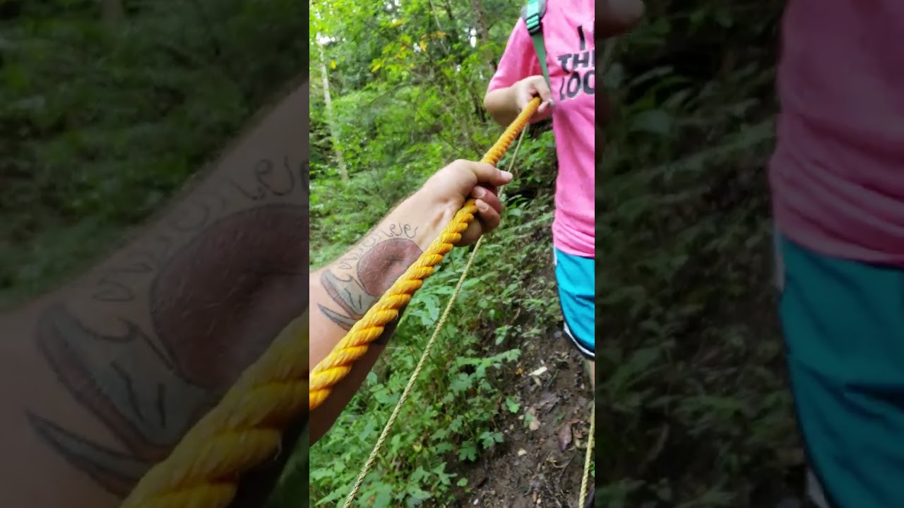 Exploring in Tennessee 