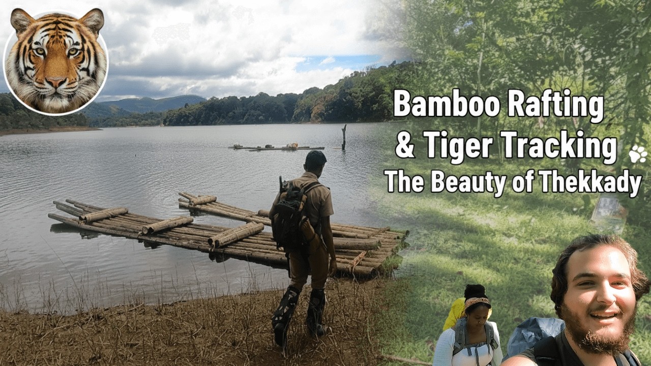 Bamboo Rafting & Tiger Tracking: The Beauty of Thekkady