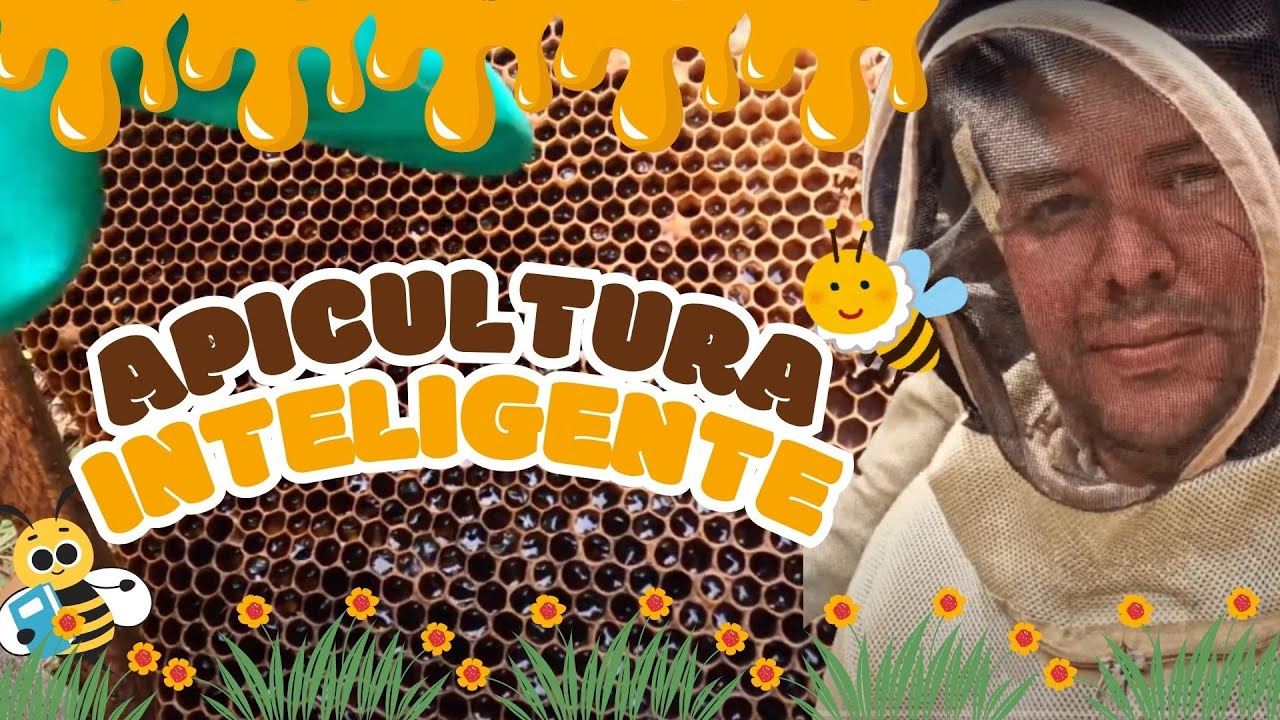 APICULTURA INTELIGENTE EN COLOMBIA
