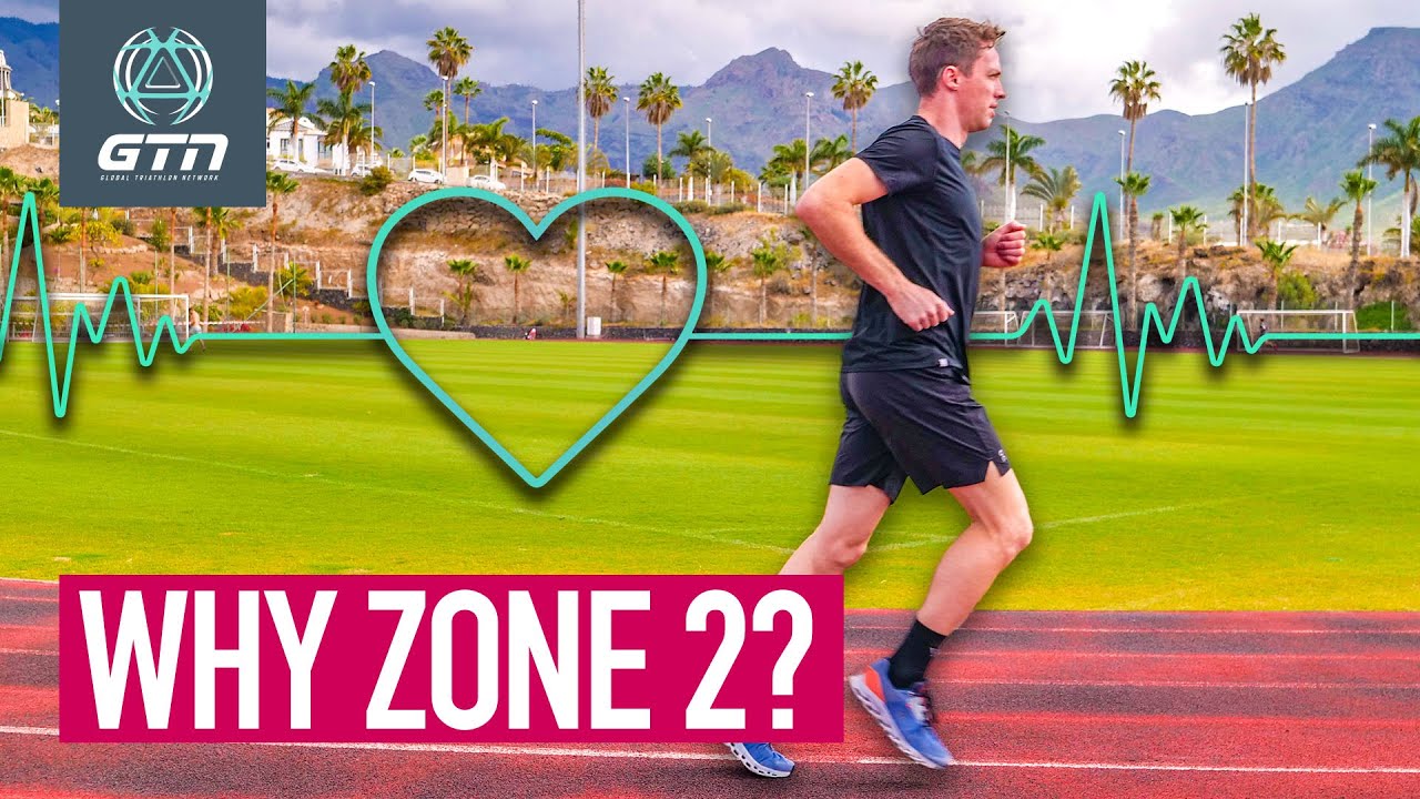 Why Is Everyone Talking About Zone 2?!