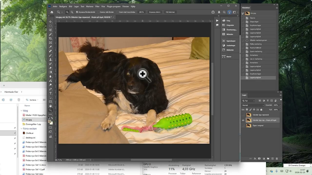 photoshop_trix_skadat_öga