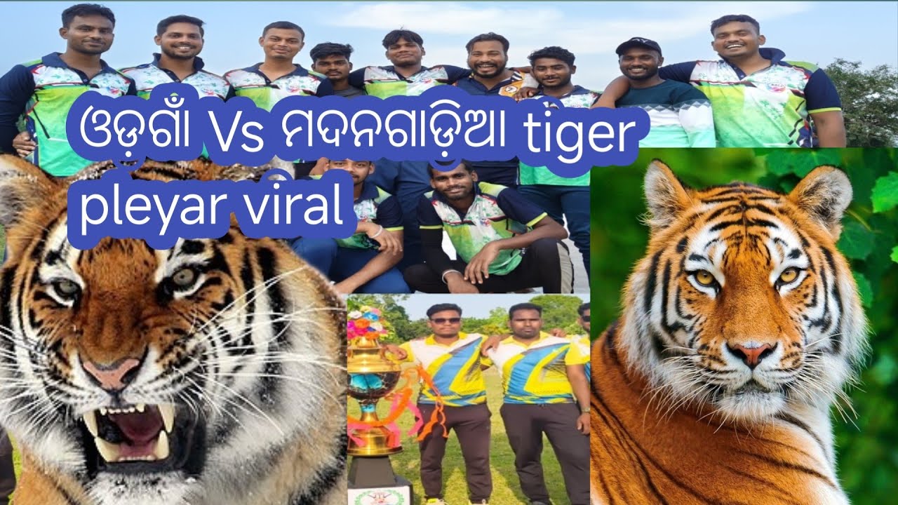 ମା ବ୍ରାହ୍ମଣି ଦେବୀ କ୍ରିକେଟ ଟୁର୍ନାମେଣ୍ଟ #odia#cricket #video#Odisha #state level/ cricket #player
