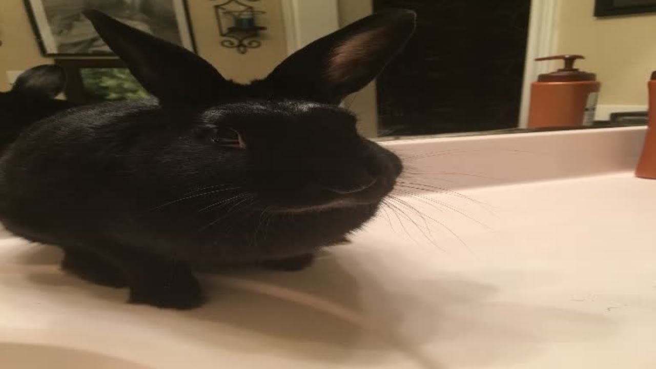 REN