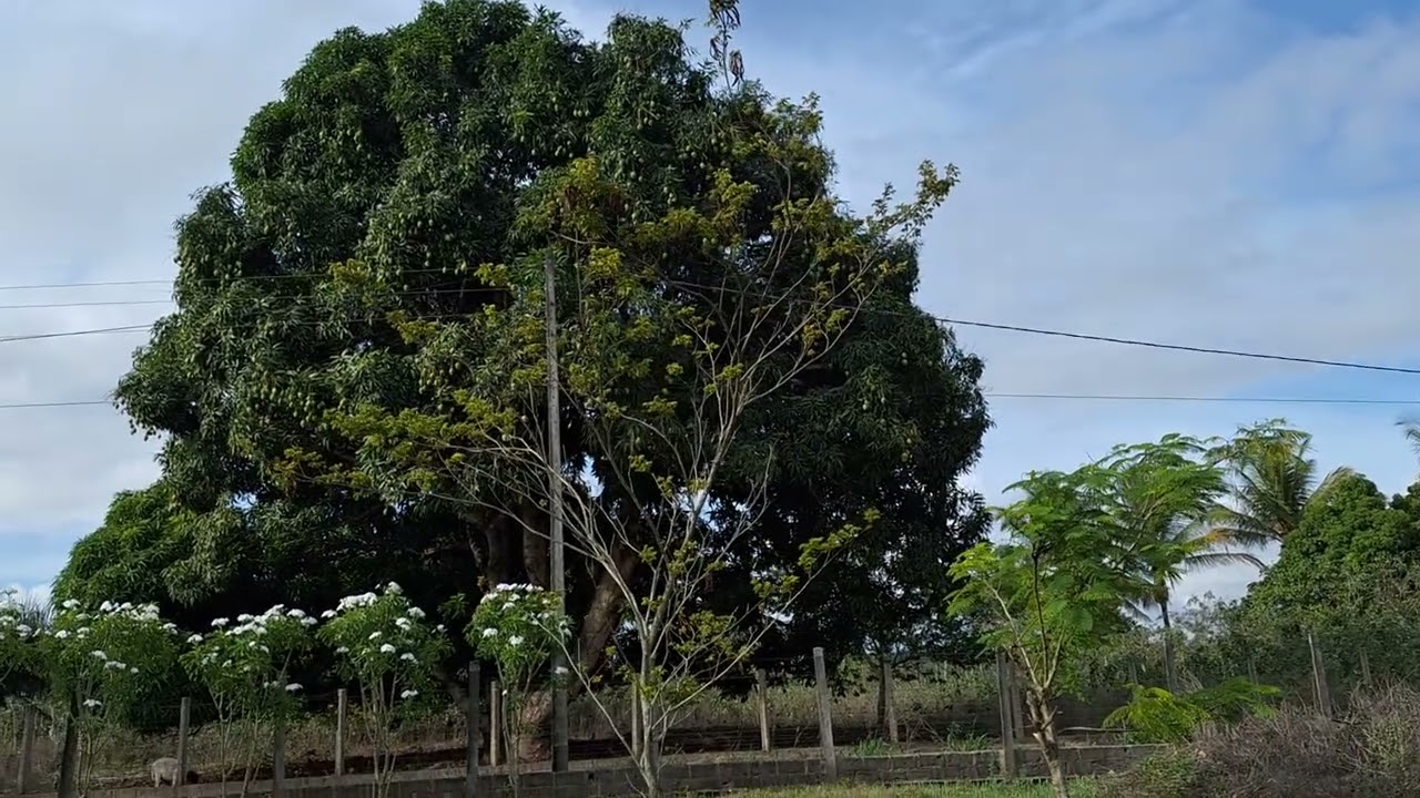 CERTAMENTE,A PALAVRA DA CRUZ É LOUCURA PARA OS QUE SE PERDEM, MAS PARA OS SALVOS, PODER DE DEUS.AMÉM