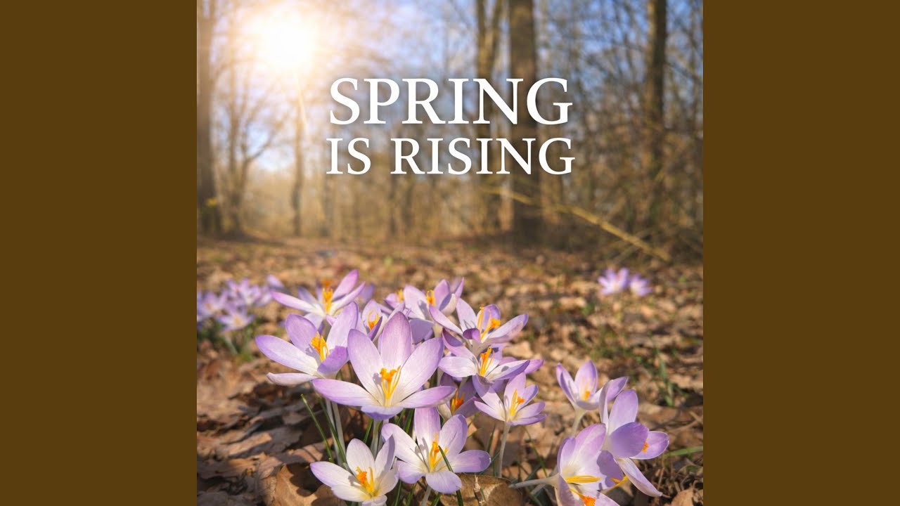 Spring is rising