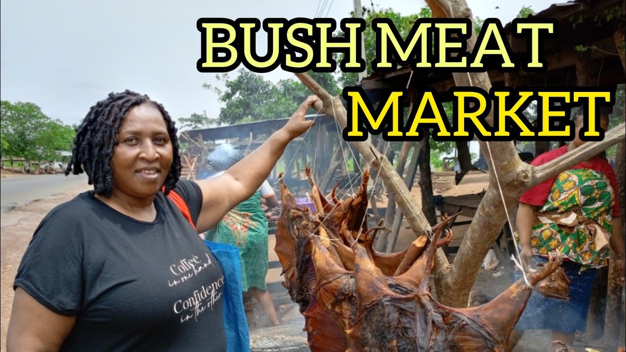 A Kenyan🇰🇪 first time in a Nigerian🇳🇬 food market(bush meat market)