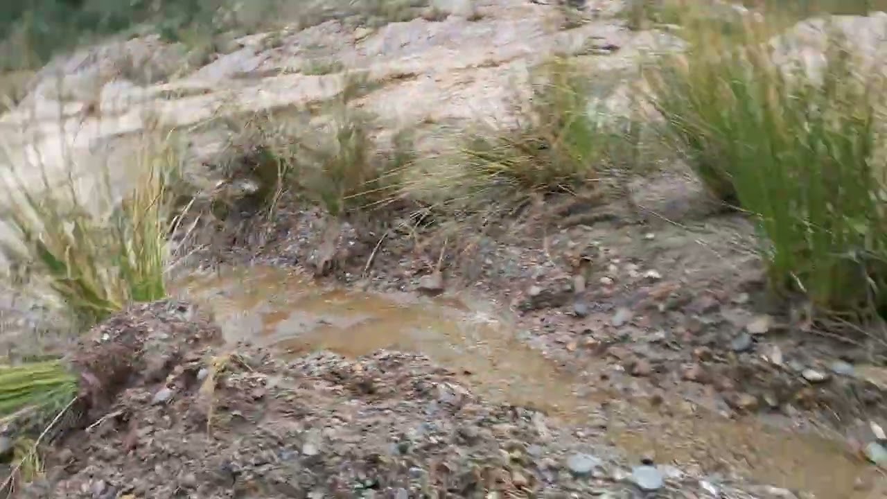 L.M  La Rambla del cañar hasta casi su final  ( parte 2 )🇪🇸🌳🌾😊