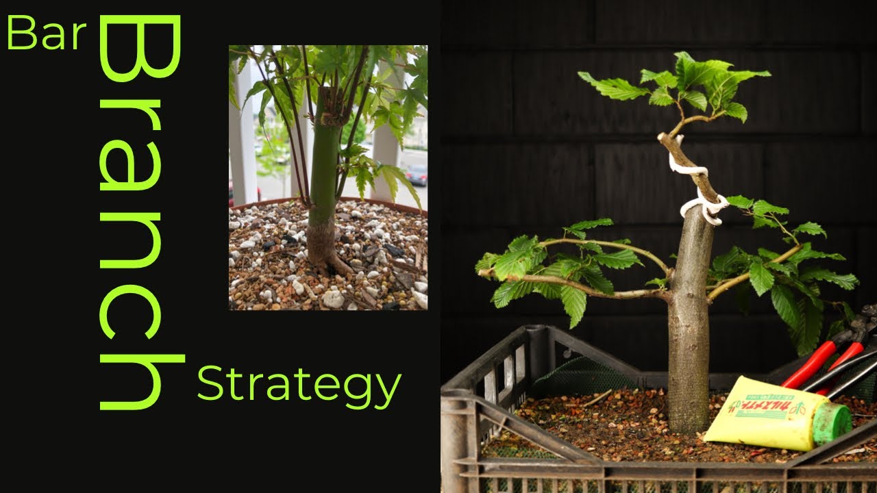How I Think Through Pre-Bonsai Structural Flaws