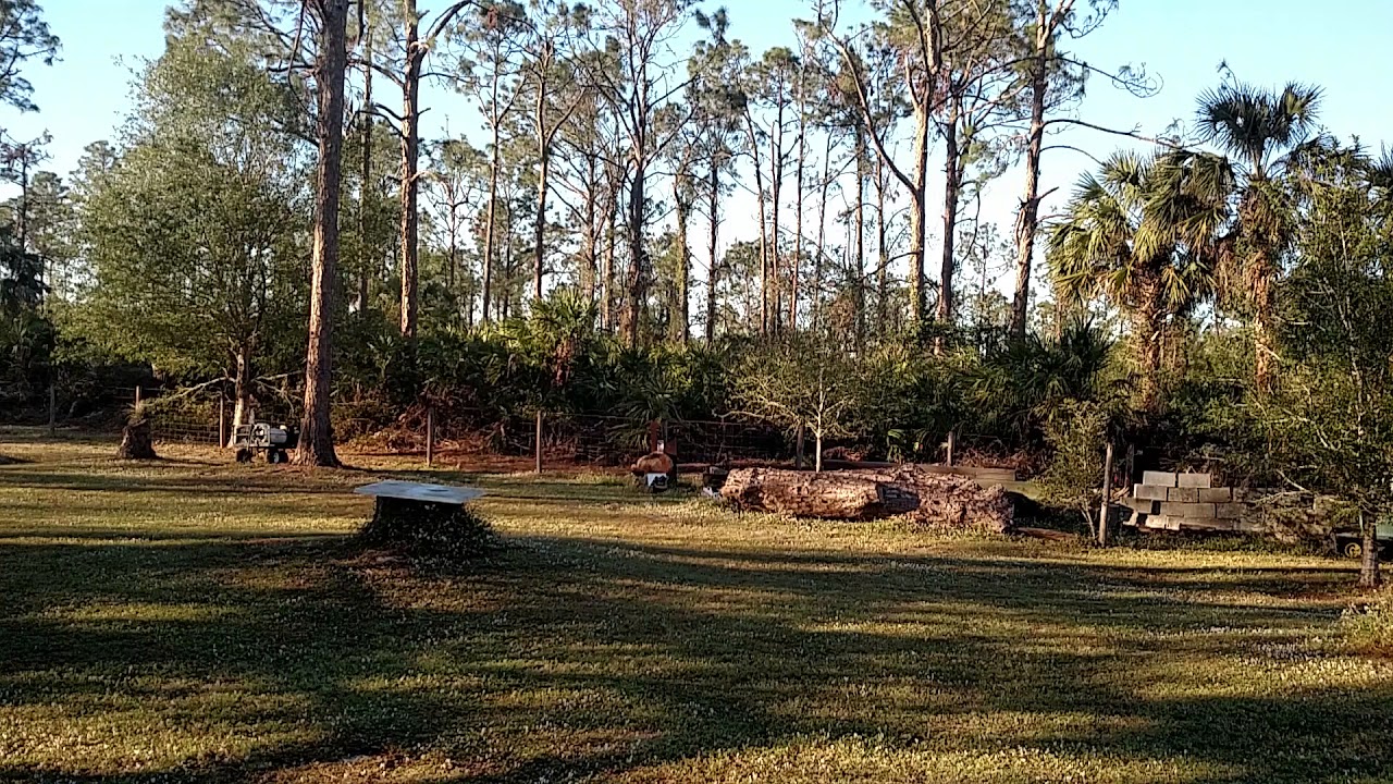 Winchester 22 Magnum vs Sub-Sonic