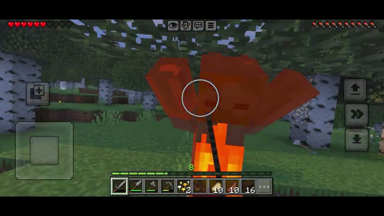 MINECRAFT