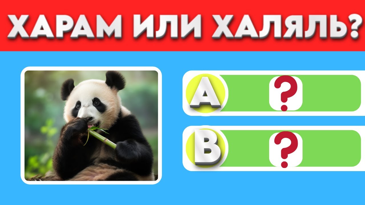 ТЕСТ! Харам или халяль еда? Проверь свои знания! Ислам тест