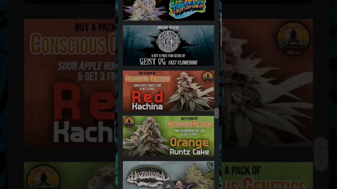 attitude seed bank promos