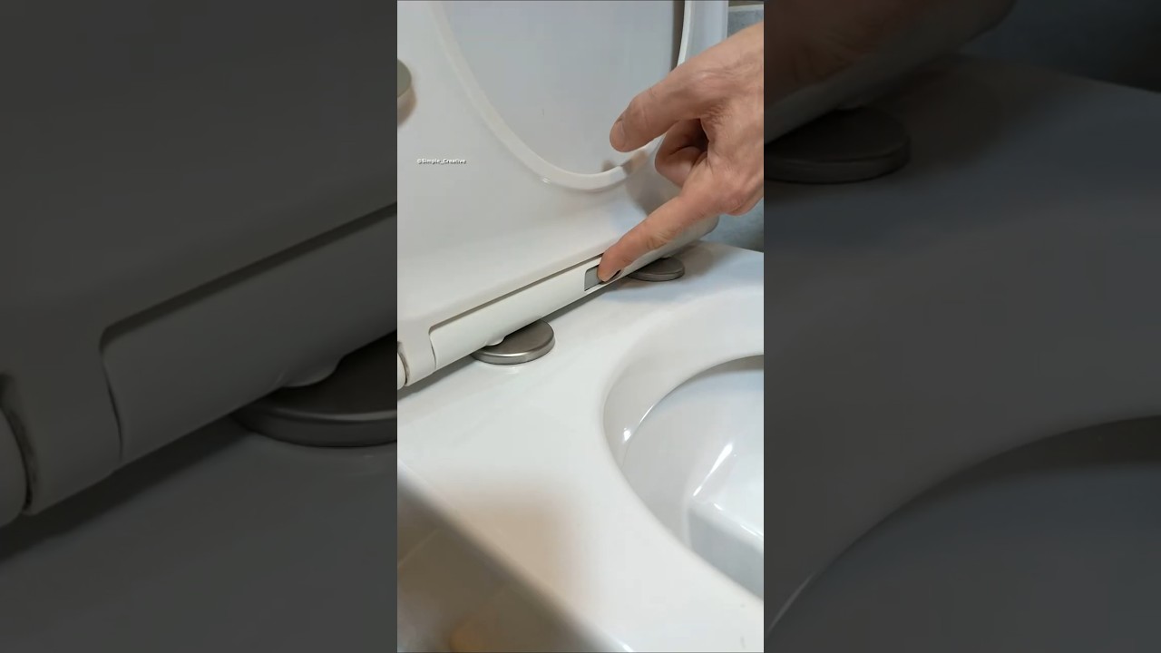 How to fix or Replace a Toilet Seat with hidden fixings #diy #plumbing #tips #tricks