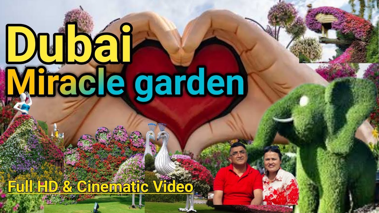 Dubai miracle garden | Dubai miracle garden tickets price, [ 4k]  video.