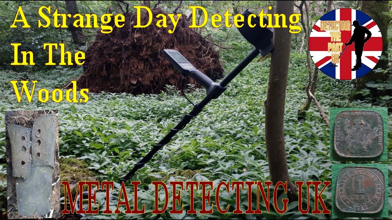 Metal Detecting UK - A Strange Day Metal Detecting In The Woods / Minelab Equinox 600