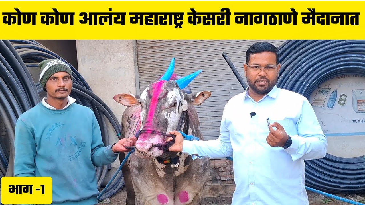 कोण कोण आलंय महाराष्ट्र केसरी नागठाणे मैदानात | भाग -1