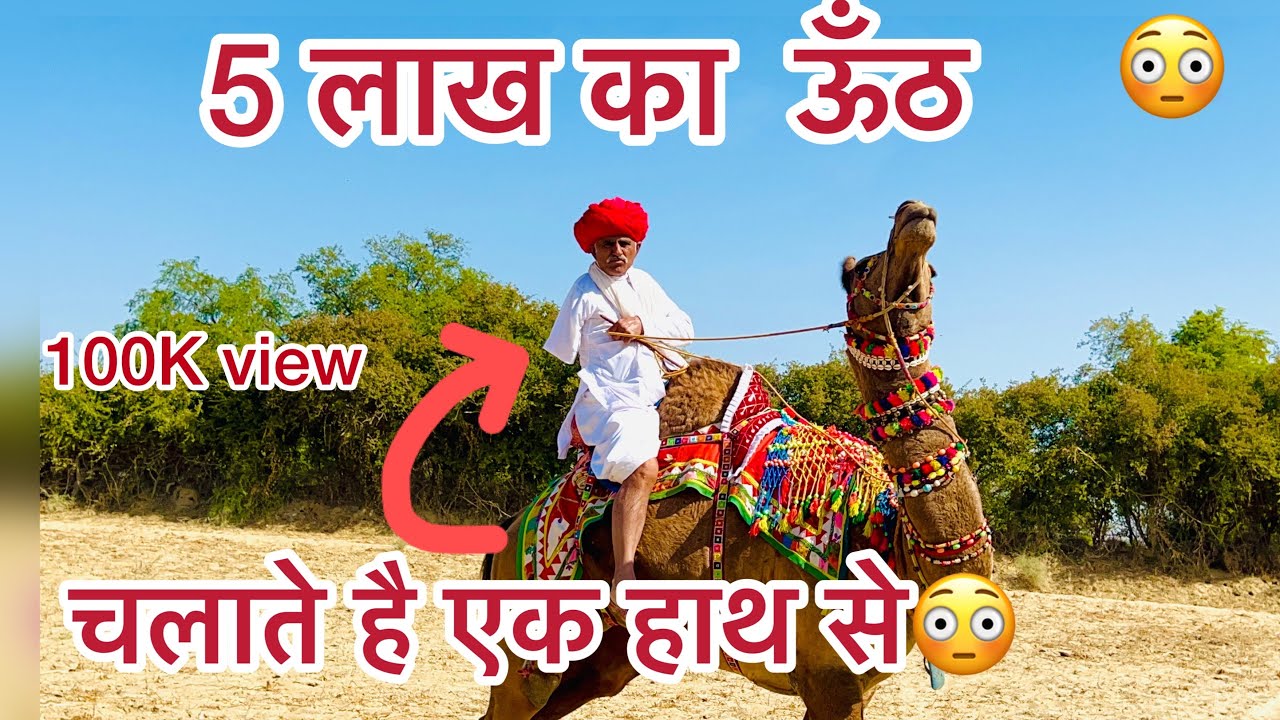 5 लाख का ऊँठ आया मेले मैं धोरिमना || 5 lakh camel came in the fair 🐪 ￼#viral #vlog