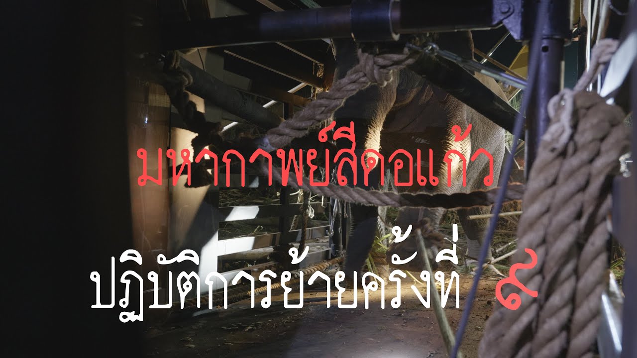 มหากาพย์แก้วอินดี้ - ปฏิบัติการย้ายครั้งที่ 9