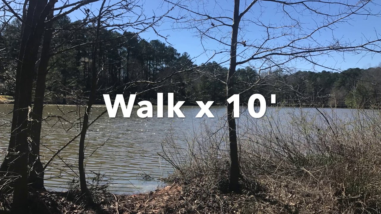 Moderate Intensity Workout   Walk + Bodyweight Circuits   Empower