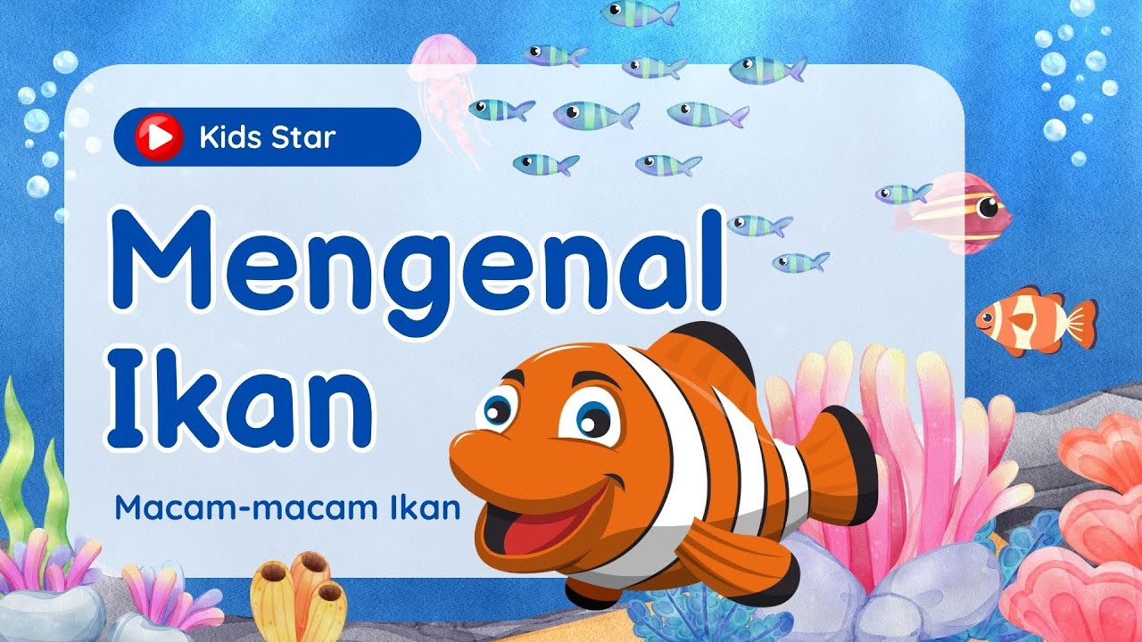 BELAJAR MENGENAL NAMA IKAN LAUT IKAN AIR TAWAR | LEARNING ANIMALS FISH NAME | MACAM-MACAM IKAN