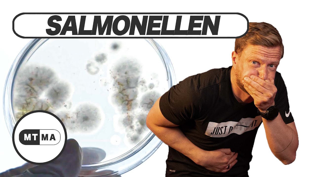 Salmonellen: die Gefahr durch &Auml;rzte erkl&auml;rt!