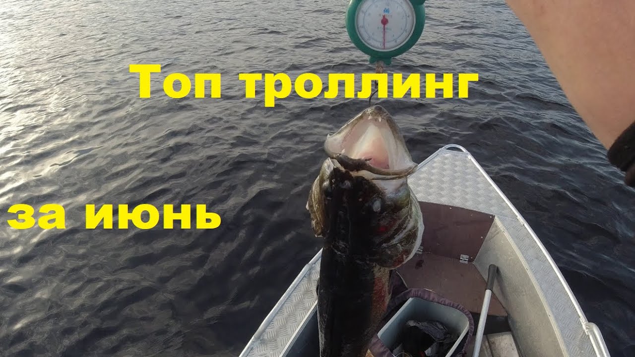 Лучшие троллинговые воблеры за июнь 24