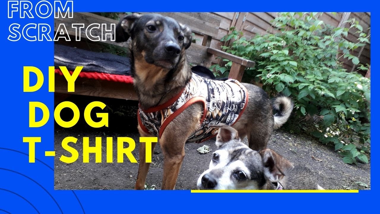 How to Sew a Dog's T-shirt (With Coverstitch Machine Topstitching)