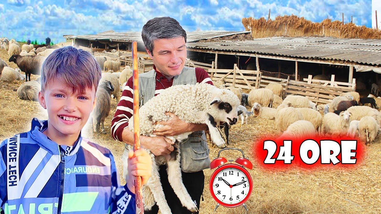 24 ЧАСА с ОВЦАМИ у ПАСТУХА⏰/ МАТЬ, ТЕРЯЮЩАЯ ОВЕЦ😥