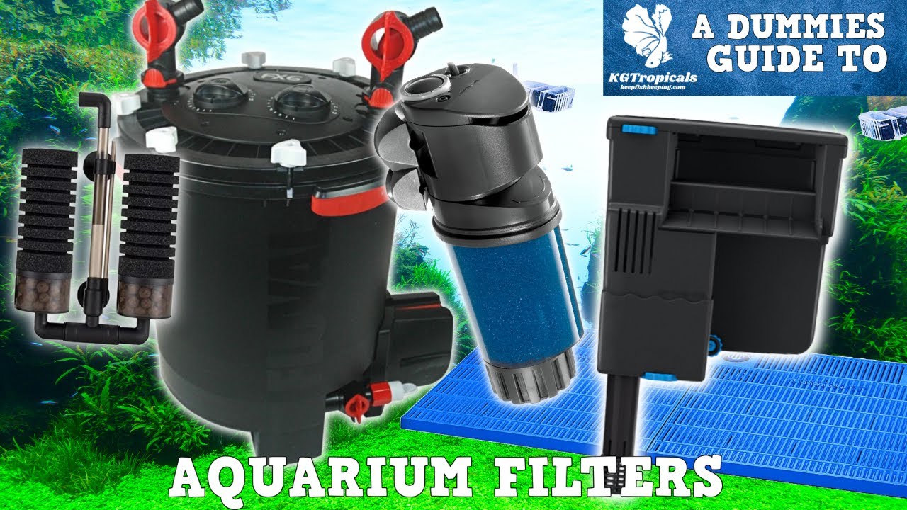 BEST Tips For Selecting The CORRECT Aquarium Filter!