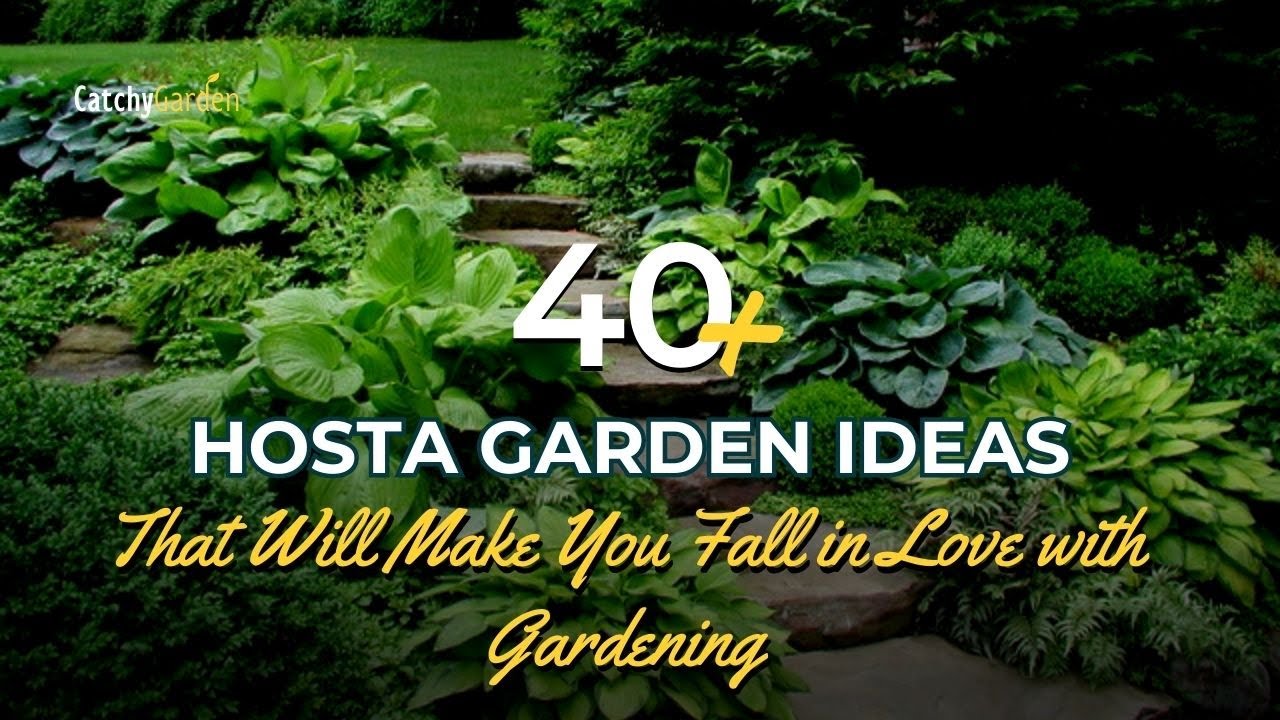 40+ Hosta Garden Ideas That Will Make You Fall in Love with Gardening 🍃🌿 // Gardening Ideas