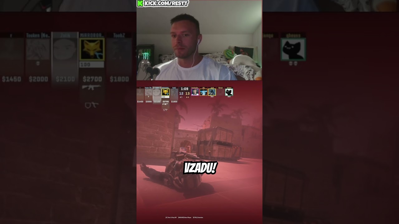 Tot&aacute;ln&iacute; chaos :D #rage #resttpowered #žolik #cs2