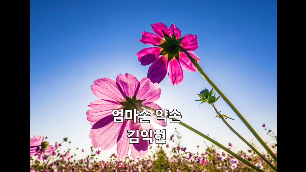 엄마손 약손 김익현 감상해보세요 구독 좋아요 부탁드립니다 
