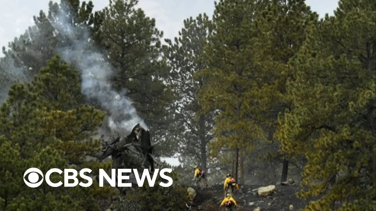 Protecting the nation's trees and forests from wildfires and climate change